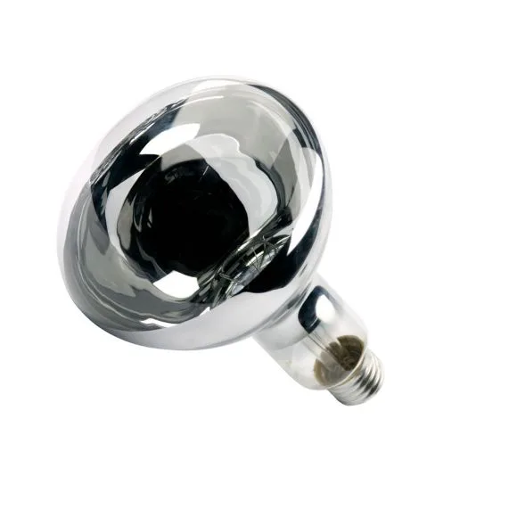 Lâmpada Incandescente De Secagem 250W 127V Ourolux